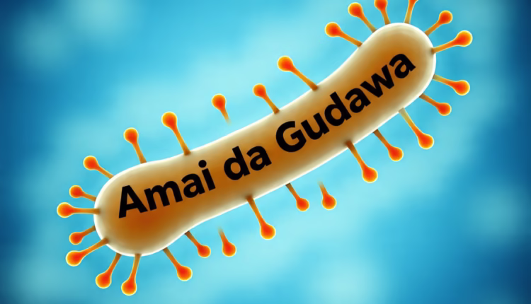 Hoton da ke nuna cutar amai da gudawa. Asalin Hoto: Meta AI